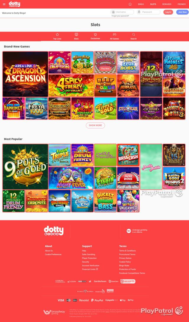 Homepage capture of Dotty Bingo recorded during the scan