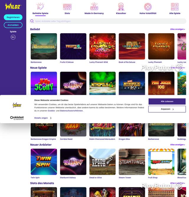 Homepage capture of Wildz recorded during the scan