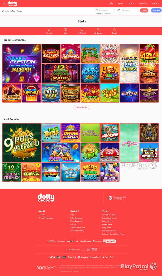 Homepage capture of Dotty Bingo recorded during the scan