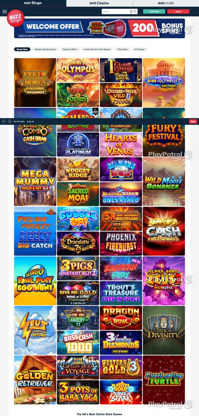 Homepage capture of Buzz Bingo recorded during the scan