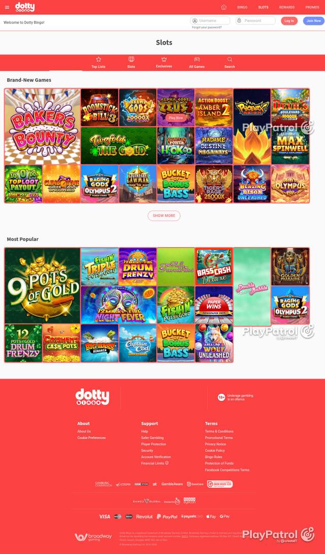 Homepage capture of Dotty Bingo recorded during the scan