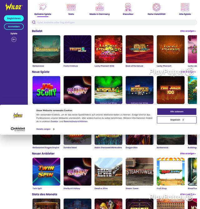 Homepage capture of Wildz recorded during the scan