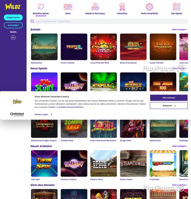 Homepage capture of Wildz recorded during the scan