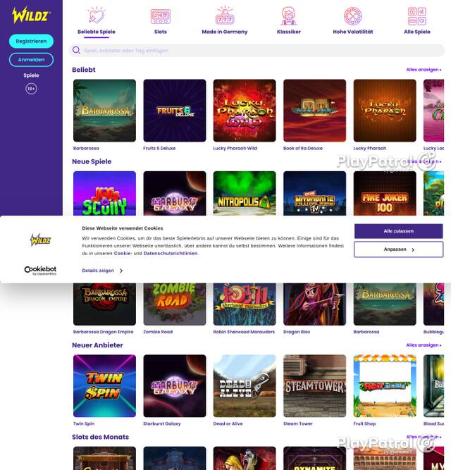 Homepage capture of Wildz recorded during the scan