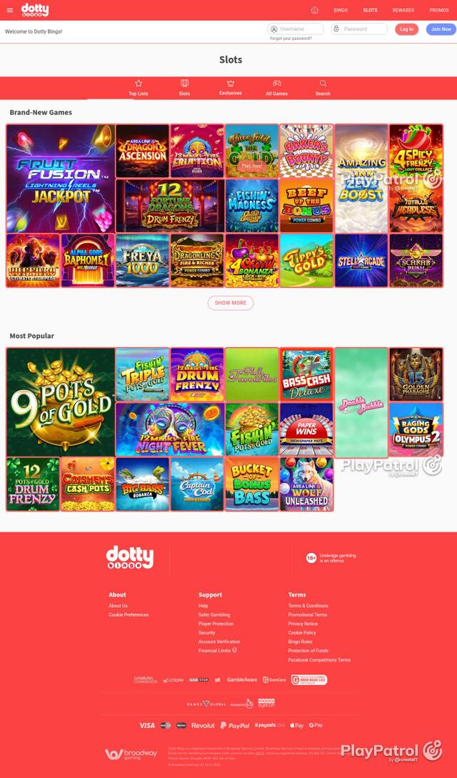 Homepage capture of Dotty Bingo recorded during the scan