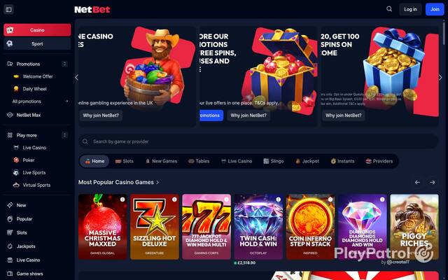 Homepage capture of NetBet Casino recorded during the scan