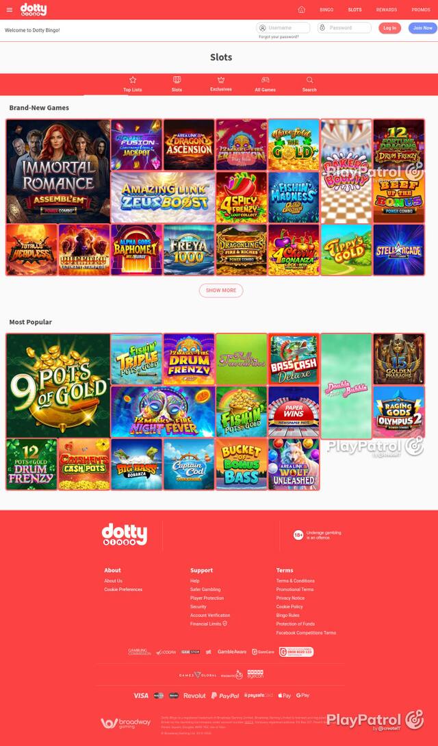 Homepage capture of Dotty Bingo recorded during the scan